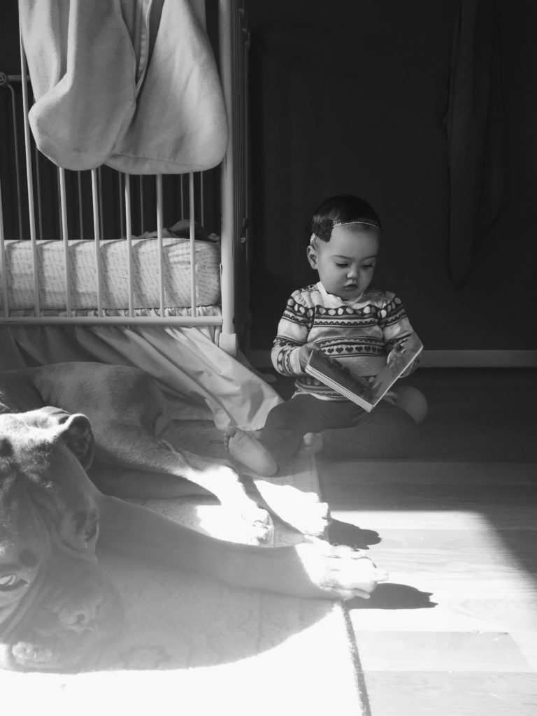 how to organize your phone photos/ photography/ family photographer/ hudson valley family photographer/ new york family photographer/ westchester family photography/ new jersey family photography/ New England family photography/ family photo inspiration/ fine art family photography/ hudson valley mini sessions