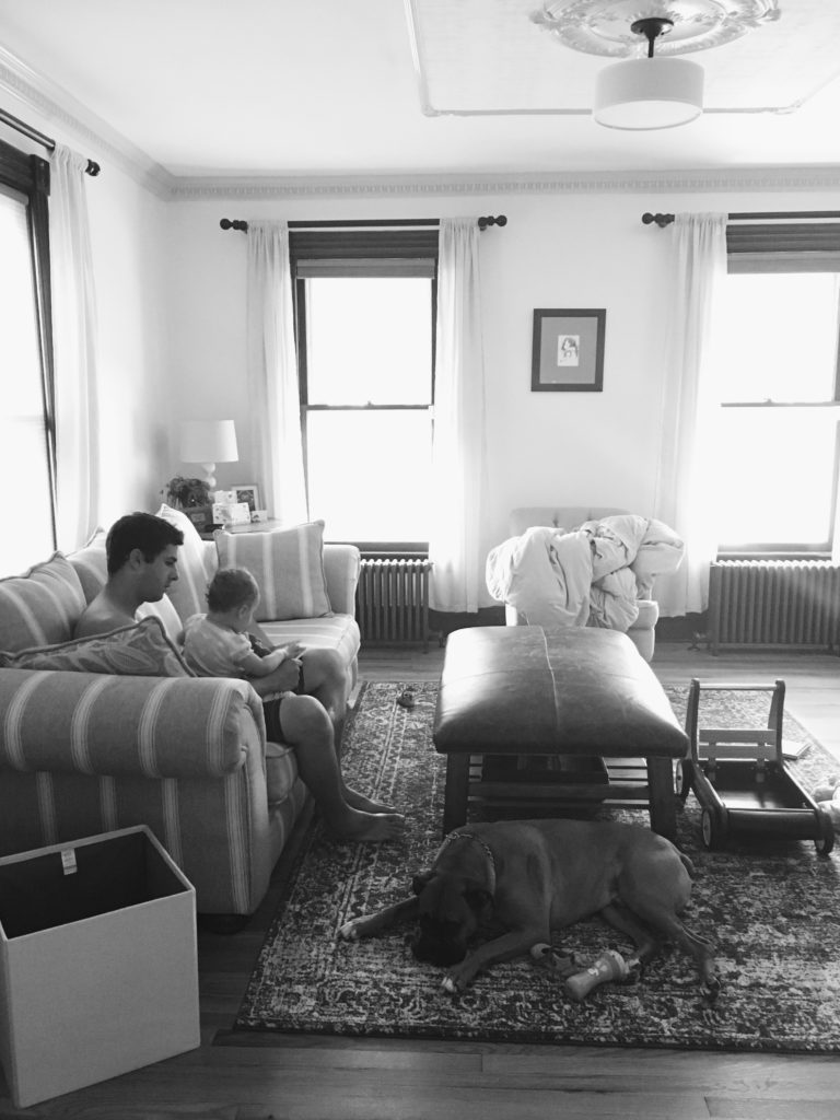 how to organize your phone photos/ photography/ family photographer/ hudson valley family photographer/ new york family photographer/ westchester family photography/ new jersey family photography/ New England family photography/ family photo inspiration/ fine art family photography/ hudson valley mini sessions