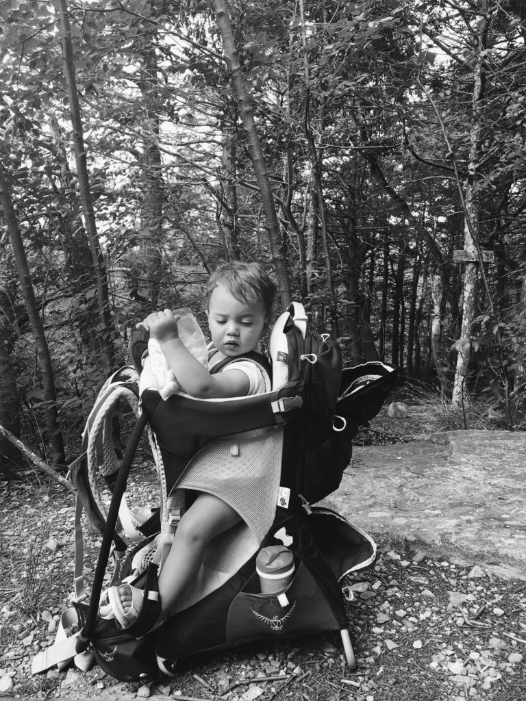 how to organize your phone photos/ photography/ family photographer/ hudson valley family photographer/ new york family photographer/ westchester family photography/ new jersey family photography/ New England family photography/ family photo inspiration/ fine art family photography/ hudson valley mini sessions