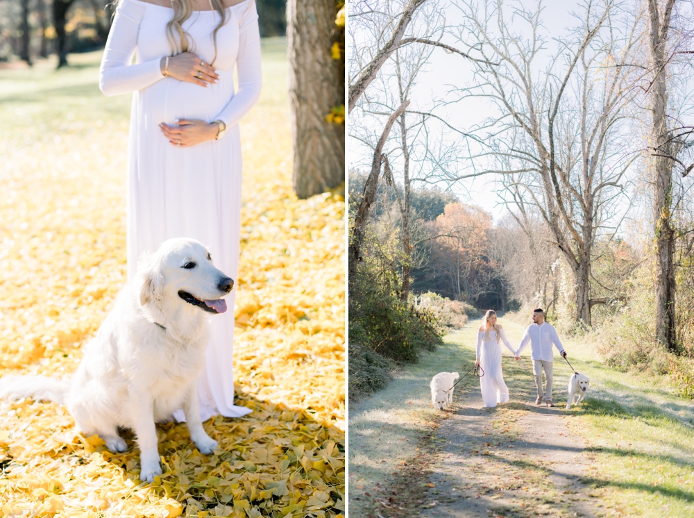 Maternity photos with pets in Scarsdale NY.