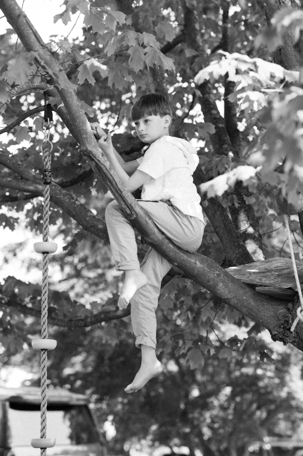 Boy climbing tree.